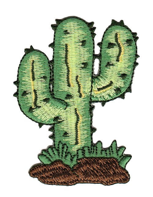 #ac62 Kaktus Grün Pflanze Wüste Aufnäher Bügelbilder Applikation Patch Größe 6,0 x 8,0 cm